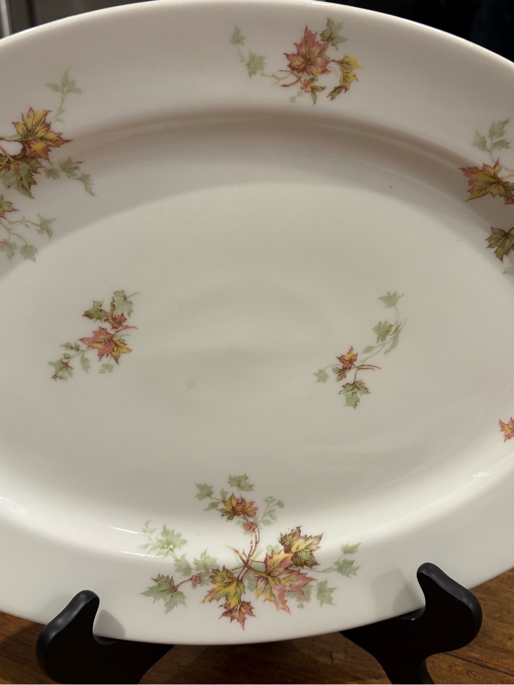 Autumn Leaf by Haviland Limoges France Serving Platter